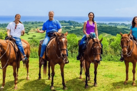 1.5 Hour Scenic Ride - North Shore