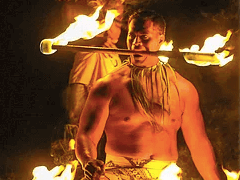 Toa Luau special offers
