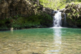Waterfall & Rainforest Hiking Adventure - Meet in Central Maui