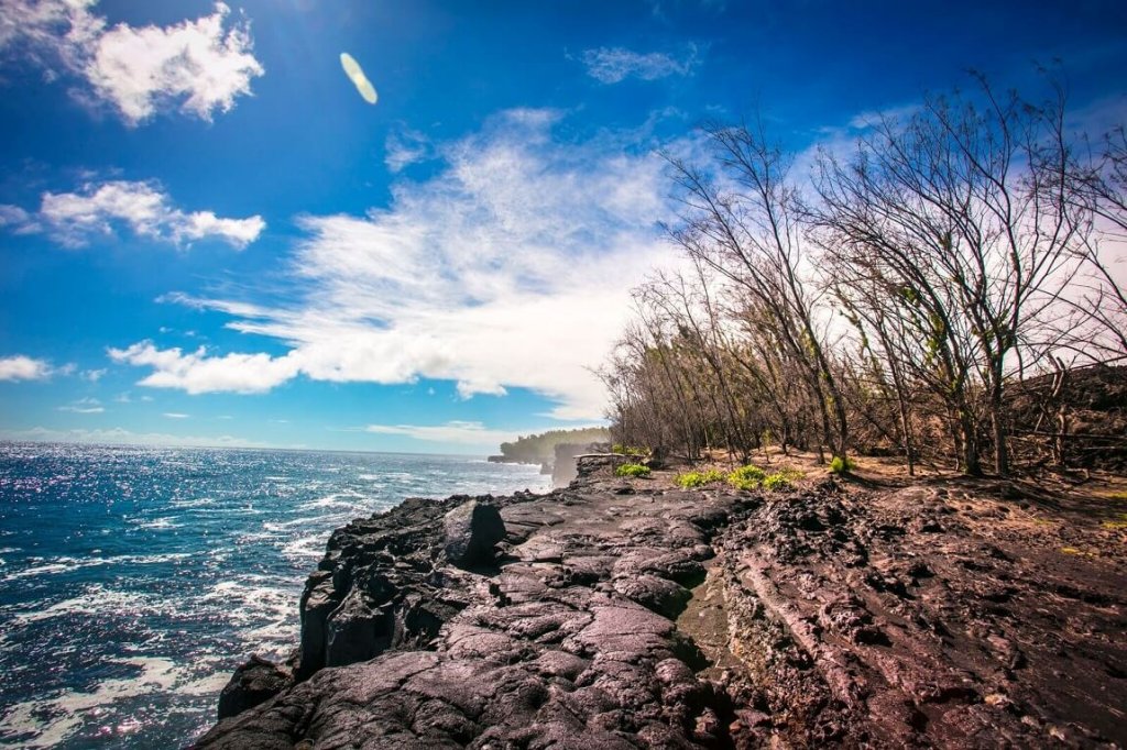 Elite Volcano Hike - Hilo Pick Up - Best Of Hawaii Tours & Activities
