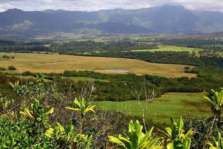 Ultimate Kauai Off-Road Ranch Tour - Best Of Hawaii Tours & Activities