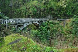 Road to Hana Adventure (M2)