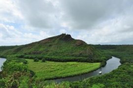 Oahu to Kauai: Waimea Canyon & Fern Grotto Tour (One Day Flyaway Tour)