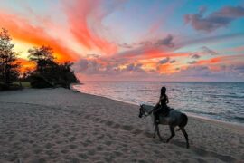 Sunset Horseback Rides - Waialua