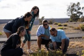 Volcano Shuttle Tour (Waikoloa Departure)