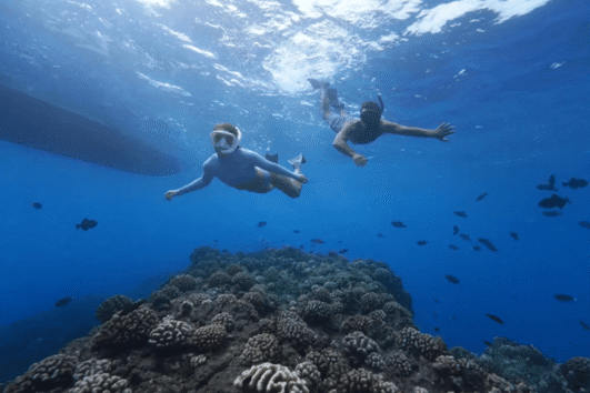 Kaula Kai Snorkel Sail at Ko Olina