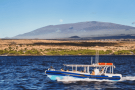 Mauna Kea Coast Cultural & Sealife Cruise - Kawaihae Harbor